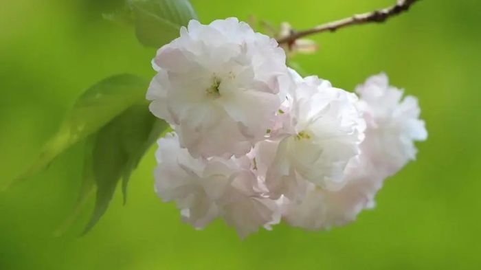 男人因你纠缠把你拉黑怎么办-有什么挽救方法？