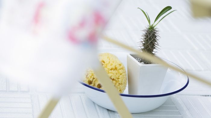 男人对长期py有感情吗_男性对炮友会产生感情吗