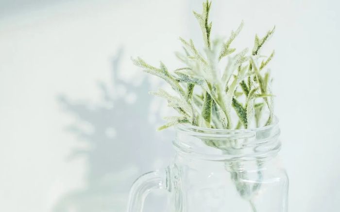 工作和生活中，为何老好人，最憋屈呢？