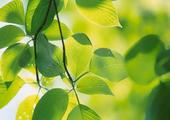 老婆提离婚后,作为老公该如何挽救婚姻？