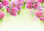 遇到老公出轨最好的解决办法-是什么、有哪些？