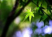 让你情绪失控的是迷茫与未知，而你可以主动改变它们